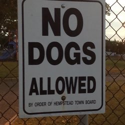 Aaron Drive Park