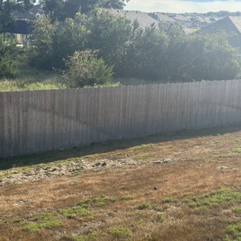 Clay Roofe Snake Removal - Wildlife Control Near Me