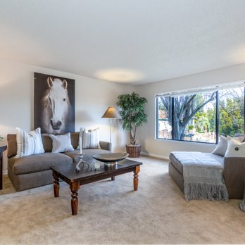 Deanna Deckard - Real Estate Agents Near Me - Fairfield, California Deanna Deckard - Real Estate Agents Near Me - Fairfield, California