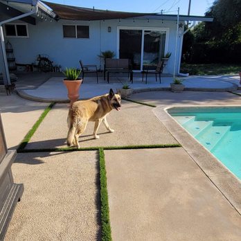 New Image Landscaping - Synthetic Grass in expansion joints - Landscaping Near Me