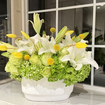 Bulb to Bloom - Florists Near Me Bulb to Bloom - Florists Near Me