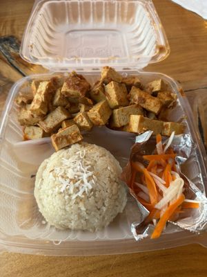 Burmese Delight by null