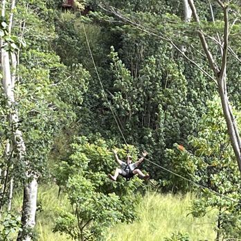 Koloa Zipline - Hands free - Ziplining Near Me - Koloa, Hawaii Koloa Zipline - Hands free - Ziplining Near Me - Koloa, Hawaii