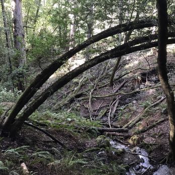 Dipsea - Hiking Near Me