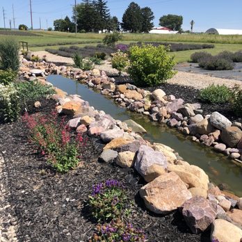 New Life Lavender & Cherry Farm - Attraction Farms Near Me - Baraboo, Wisconsin New Life Lavender & Cherry Farm - Attraction Farms Near Me - Baraboo, Wisconsin