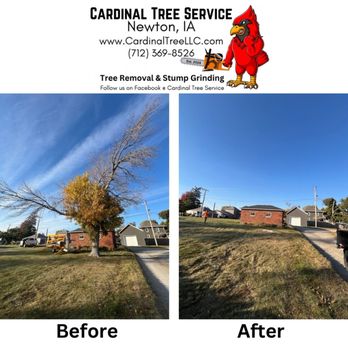 Cardinal Tree Service - Tree Services Near Me Cardinal Tree Service - Tree Services Near Me
