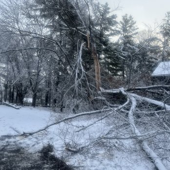 JL Tree Service - Tree Services Near Me - Fairfax, Virginia