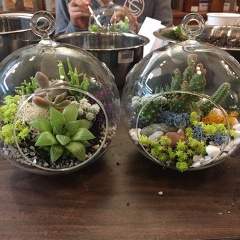 Succulence - Our two terrariums! - Team Building Activities Near Me