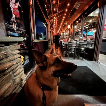 Phil's BBQ - Dog friendly outdoor patio - Barbeque Near Me - San Diego, California Phil's BBQ - Dog friendly outdoor patio - Barbeque Near Me - San Diego, California