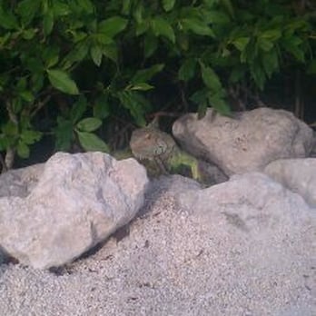 Hawks Cay Resort - Resorts Near Me - Duck Key, Florida Hawks Cay Resort - Resorts Near Me - Duck Key, Florida