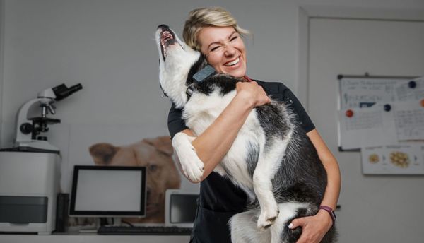 Ally Urgent Veterinary Care