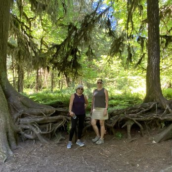 Hoh Rainforest - Hiking Near Me - Forks, Washington Hoh Rainforest - Hiking Near Me - Forks, Washington