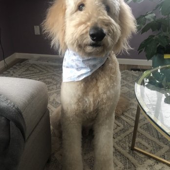 Tenaker Pet Care Center - Full groom - Pet Groomers Near Me - Aurora, Colorado
