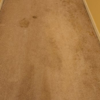 Chicago Carpet Revival - Carpet Cleaning Near Me