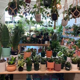 Amazing energy and great variety of plants Amazing energy and great variety of plants