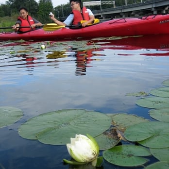 Agua Verde Cafe - Floating through lily pads near the arboretum - Mexican Near Me - Seattle, Washington