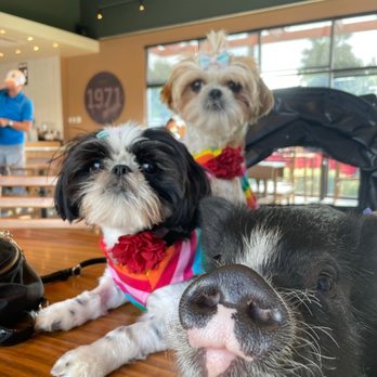 Starbucks - Coffee & Tea Near Me - Hemet, California Starbucks - Coffee & Tea Near Me - Hemet, California