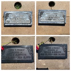 Headstone Heroes - Clean and restore. Polish and shine