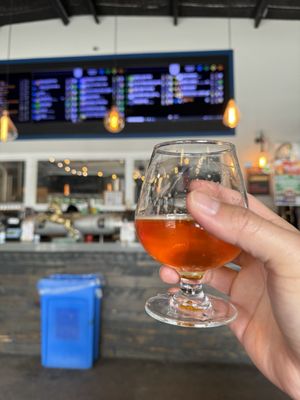 True Vine Brewing Company by null