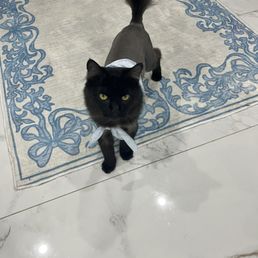 My handsome boy Yasu :) My handsome boy Yasu :)