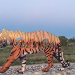 Tiger Park