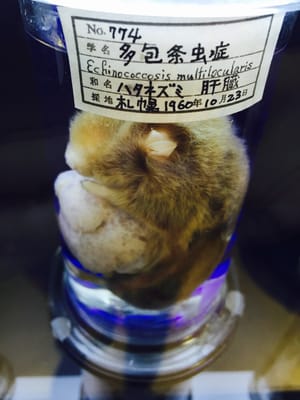 Meguro Parasitological Museum by null