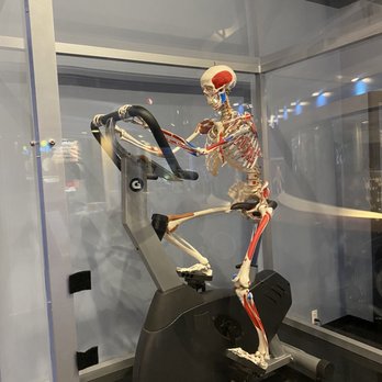 Gulf Coast Exploreum - He worked himself to nothing but bones - Amusement Parks Near Me - Mobile, Alabama