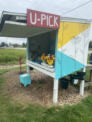 Bremer Produce U-Pick Flower Farm by null