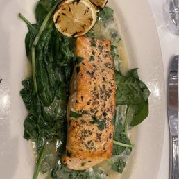 Salmon Lemon & Herb Salmon Lemon & Herb