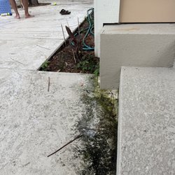 The Vacation Company - Slimy and dirty pool area
