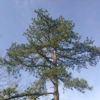 Oak Mountain State Park - Parks Near Me - Pelham, Alabama