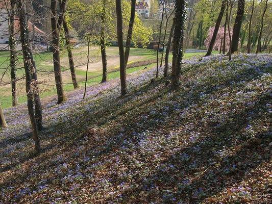 Relais & Châteaux Hardenberg BurgHotel by null