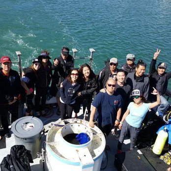 Beverly Dive - Free Diving Near Me - Los Angeles, California Beverly Dive - Free Diving Near Me - Los Angeles, California