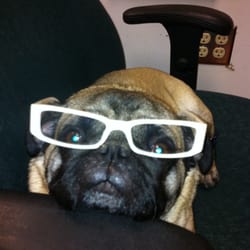 Flamingo Falls Eye Care