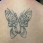 Photo of Phoenix Tattoo