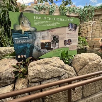 Shark Reef Aquarium at Mandalay Bay - Shark Reef Las Vegas, NV June 2026 - Aquariums Near Me - Las Vegas, Nevada