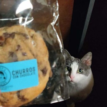 Saysay's Cookies - Cat approved (no I did not give her any no matter how cute she is). - Desserts Near Me - North Hollywood, California Saysay's Cookies - Cat approved (no I did not give her any no matter how cute she is). - Desserts Near Me - North Hollywood, California