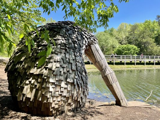 Bernheim Forest and Arboretum by null
