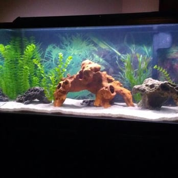 Ultimate Aquarium - Aquarium Services Near Me - Visalia, California