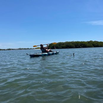 SURFIT USA | Kayaks, Paddleboards & Surf - Making friends with the wildlife - Surfing Near Me - Sarasota, Florida