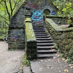 Witch's house