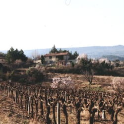 Mas la Rainette