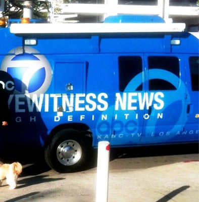 ABC 7 by null