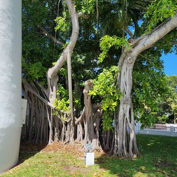 Key West Lighthouse & Keeper's Quarters Museum - Lofty fig - Museums Near Me - Key West, Florida Key West Lighthouse & Keeper's Quarters Museum - Lofty fig - Museums Near Me - Key West, Florida