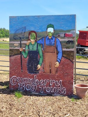 Cranberry Bog Tours by null