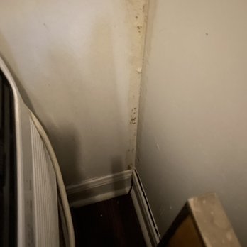 Meridian Properties - More closet mold, where water has warped the baseboards and filled the space inbetween with mold. December 2021 Thanks Meridian Properties! - Property Management Near Me - Brooklyn, New York