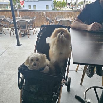 The Salty Tarpon - Sports Bars Near Me - Punta Gorda, Florida