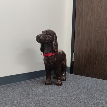 Valley Orthopedic Technology - Our ever present guard dog - Barclay - Orthotics Near Me - Los Angeles, California Valley Orthopedic Technology - Our ever present guard dog - Barclay - Orthotics Near Me - Los Angeles, California