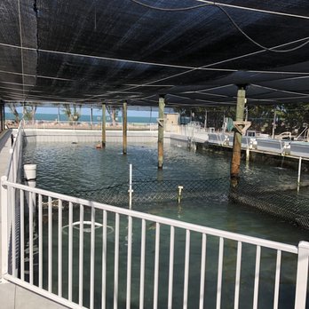 The Turtle Hospital - Veterinarians Near Me - Marathon, Florida