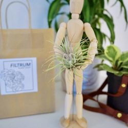 Filtrum Plant Shop